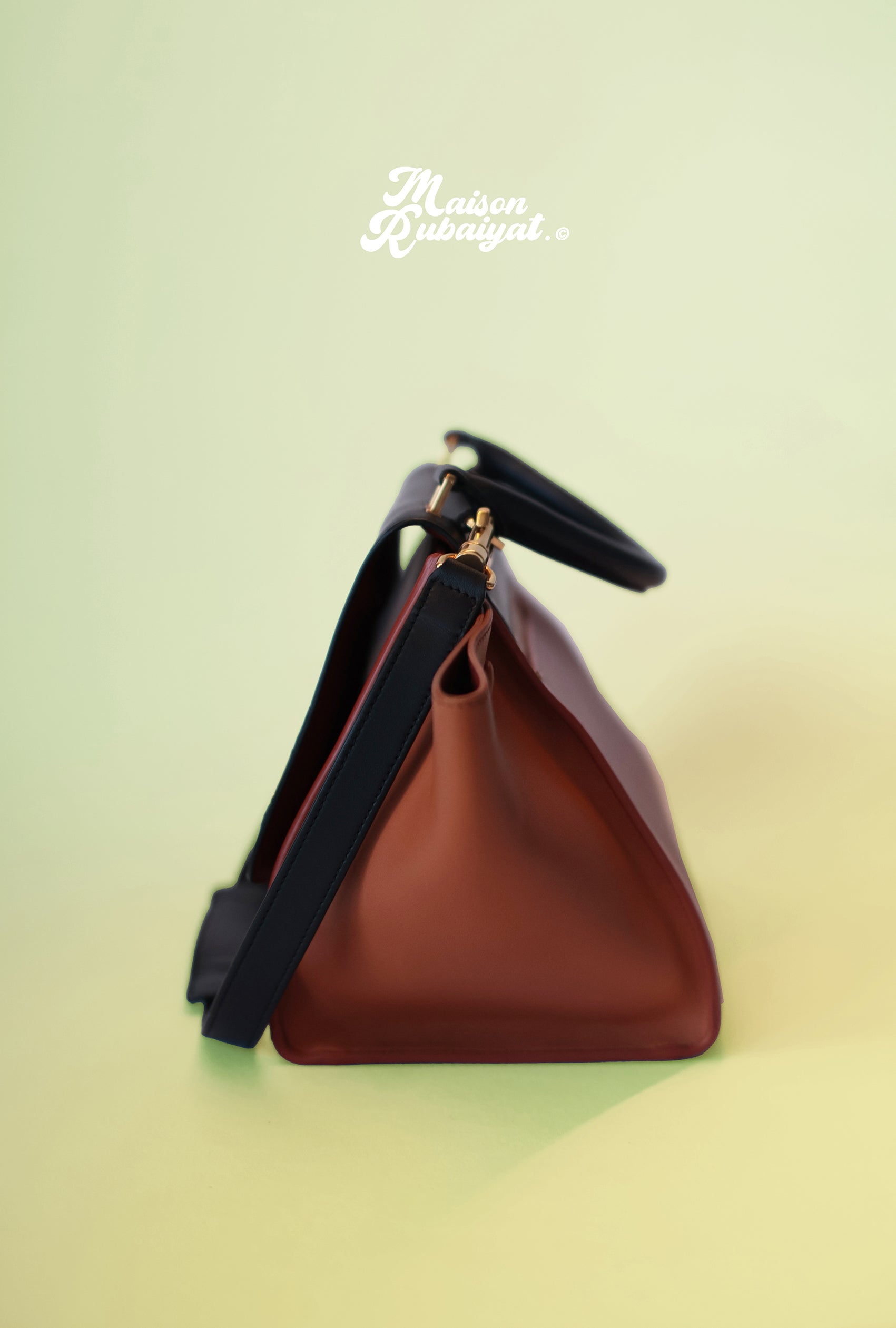 Limited Edition Céline Bag with Hand-Painted Design – Iconic Simplicity and Elegance 