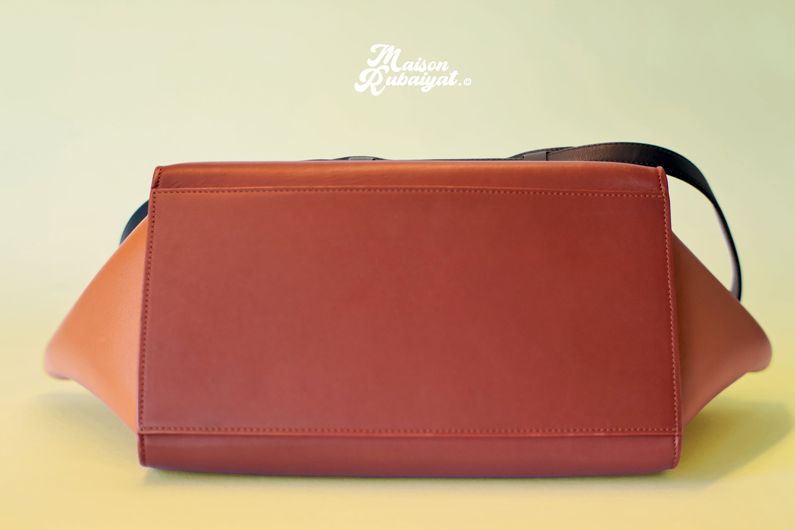 Limited Edition Céline Bag with Hand-Painted Design – Iconic Simplicity and Elegance 